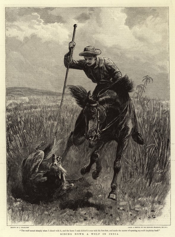 Att rida på en varg i Indien av John Charlton