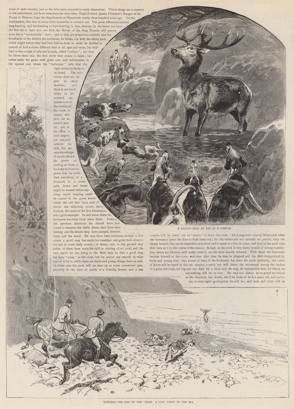 Jakten på den vilda kronhjorten i Exmoor av John Charlton