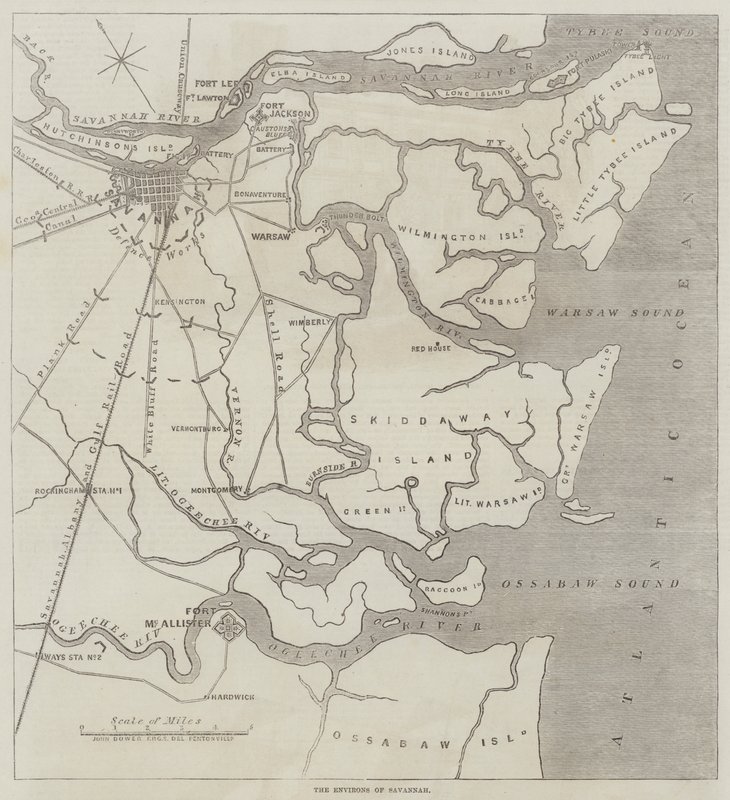 Omgivningarna i Savannah av John Dower