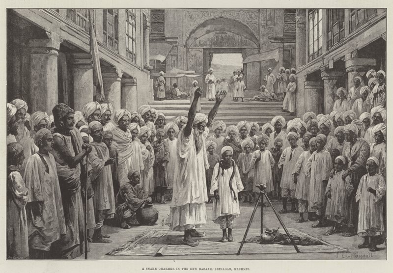En ormtjusare i New Bazaar, Srinagar, Kashmir av John Edward Goodall