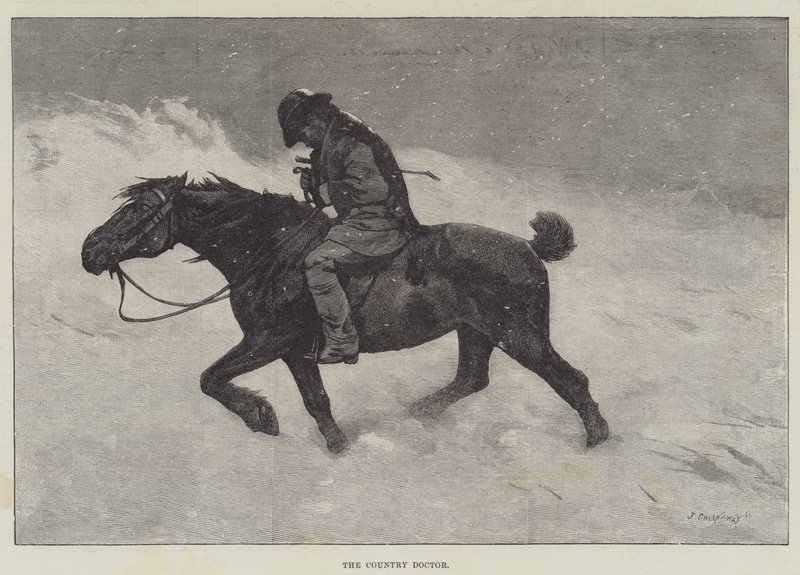 Landsläkaren av John Greenaway