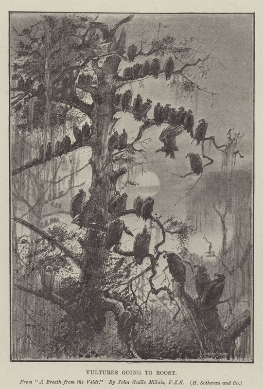 Gamar på väg till Roost av John Guille Millais