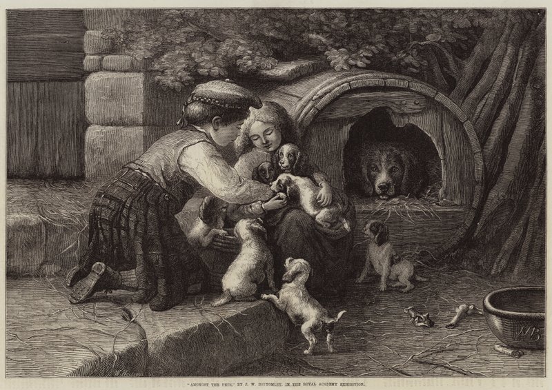Bland husdjuren av John William Bottomley