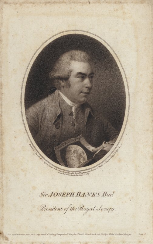 Sir Joseph Banks, engelsk naturforskare, botaniker och president för Royal Society (gravyr) av John (after) Russell
