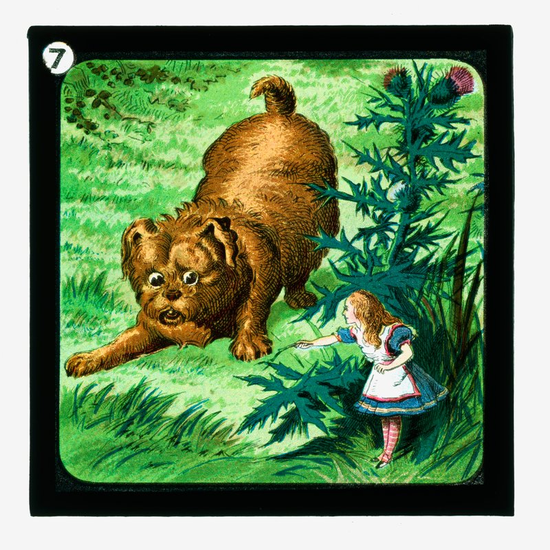 Alice i Underlandet, färgglada lyktor (lanternruta) av John (after) Tenniel