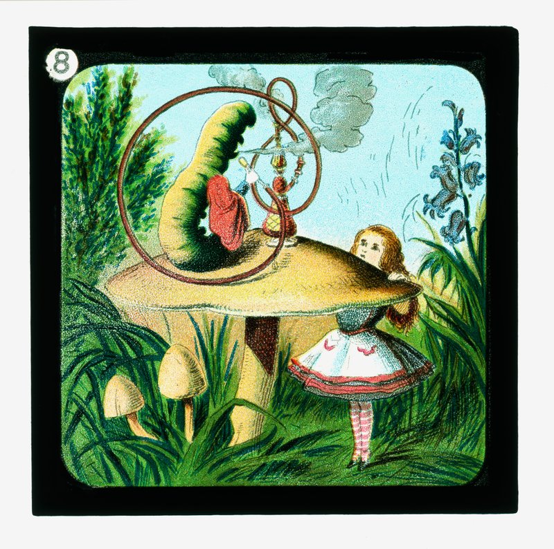 Alice i Underlandet, färgglada lyktor (lanternruta) av John (after) Tenniel
