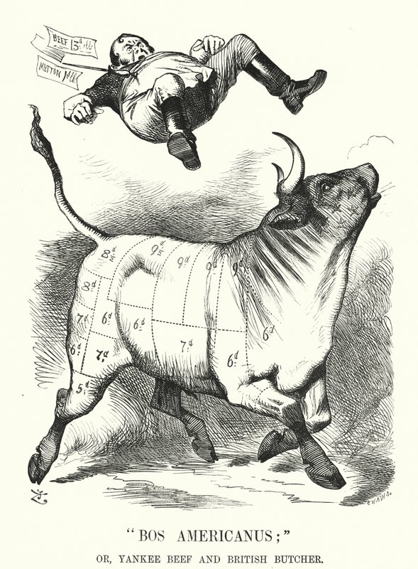 Punch tecknad: Bos Americanus; eller, Yankee Beef och British Butcher - förväntade fördelar för konsumenterna av att importera amerikanskt kött (gravyr) av John (after) Tenniel