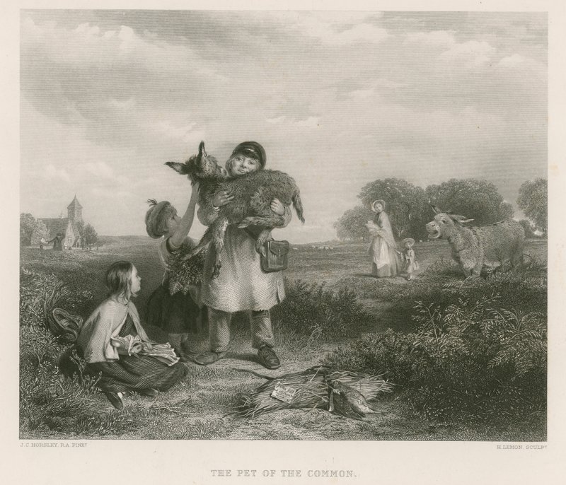 Allmänningens husdjur av John Callcott Horsley