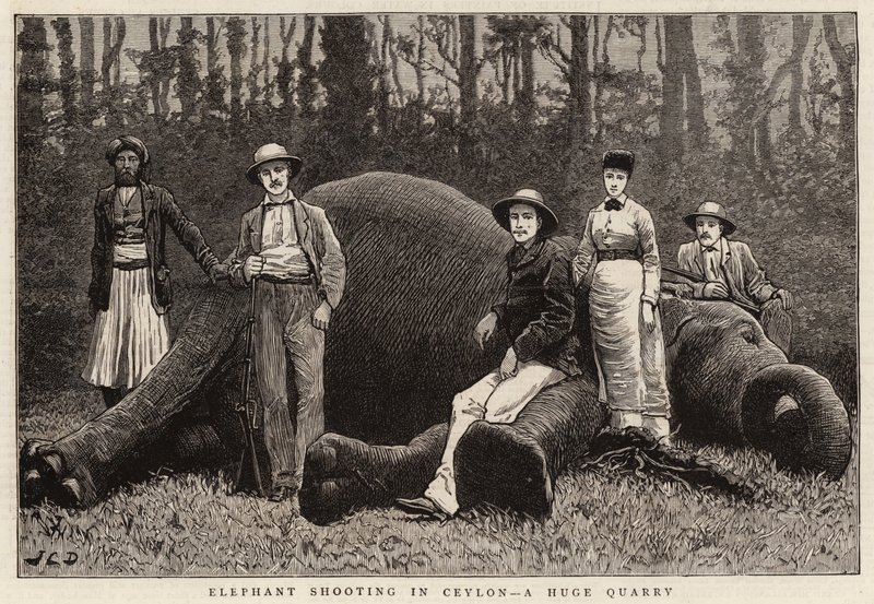 Elefantskjutning i Ceylon, ett enormt stenbrott av John Charles Dollman