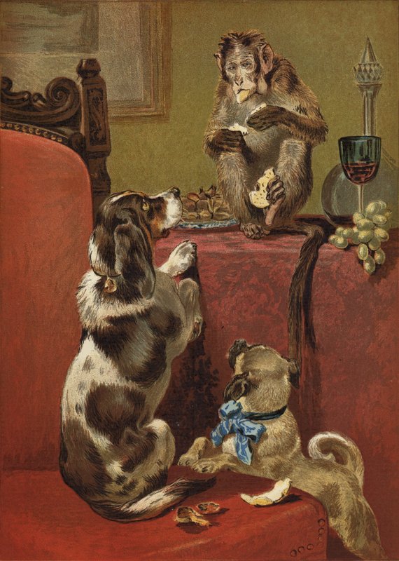 Den giriga apan av John Charles Dollman