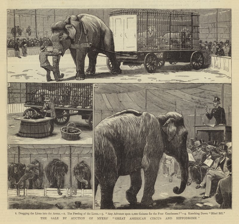 Försäljningen på auktion av Myers Great American Circus and Hippodrome av John Charles Dollman