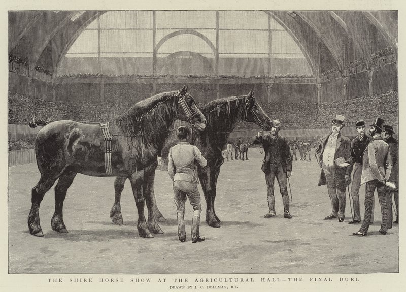 Shire Horse Show på Lantbrukshallen, Final Duellen av John Charles Dollman