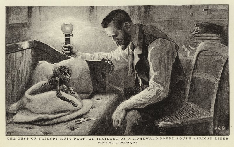 De bästa vännerna måste skiljas, en incident på ett sydafrikanskt linjefartyg på hemfärd av John Charles Dollman