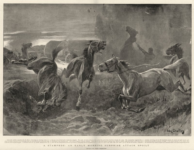 A Stampede, en tidig morgonöverraskningsattack bortskämd av John Charlton