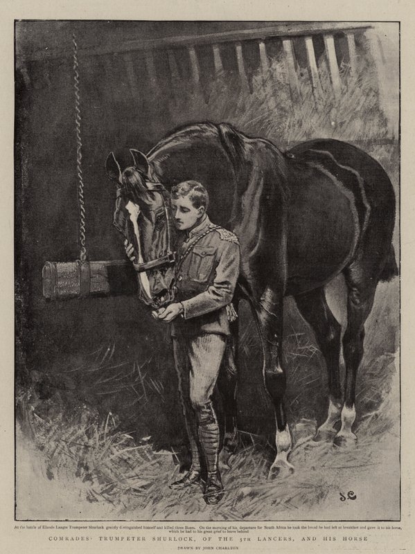 Kamrater, Trumpeter Shurlock, från 5th Lancers, och hans häst. av John Charlton