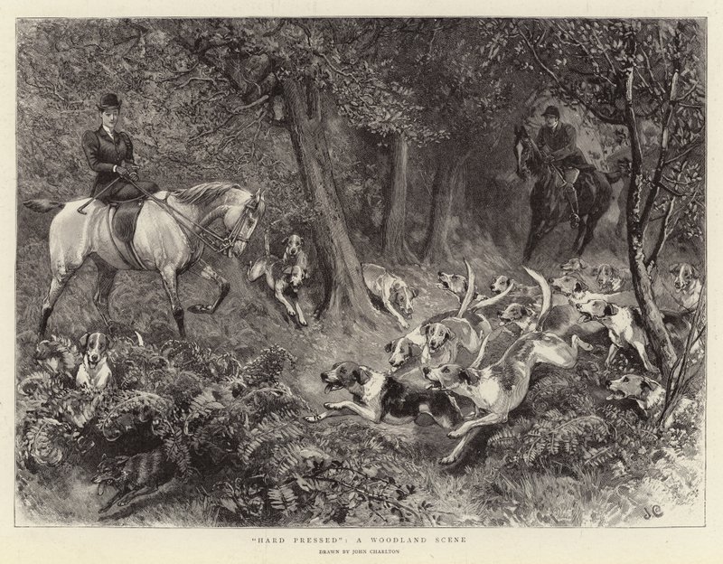 Hårt pressad, en skogsscen av John Charlton