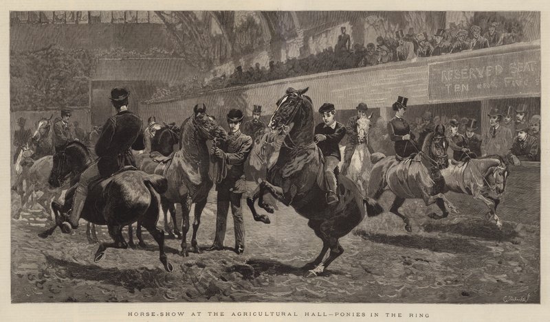 Horse-show på Lantbrukshallen, Ponnyer i ringen av John Charlton