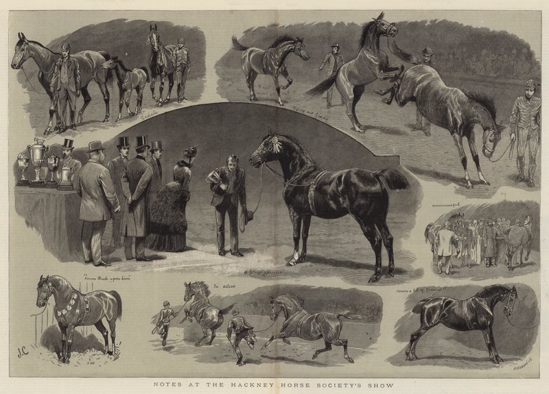 Anteckningar på Hackney Horse Society Show av John Charlton
