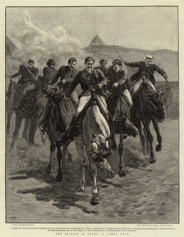 Britterna i Egypten, A Camel Race av John Charlton