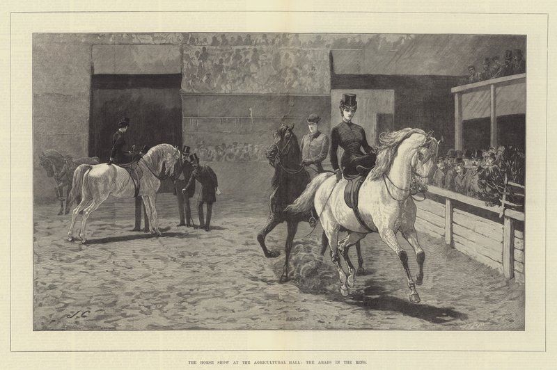Hästshowen på Lantbrukshallen, araberna i ringen av John Charlton