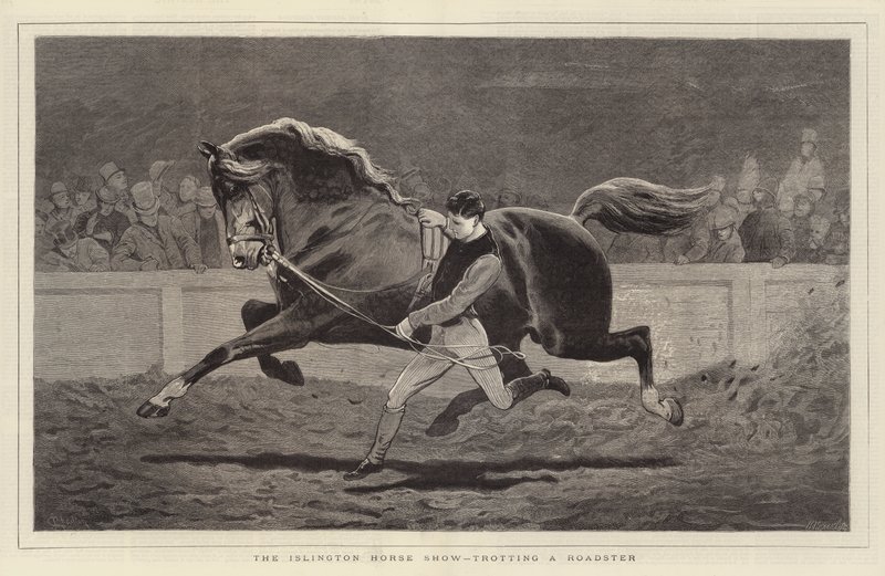 Islington Horse Show, med en Roadster i trav. av John Charlton