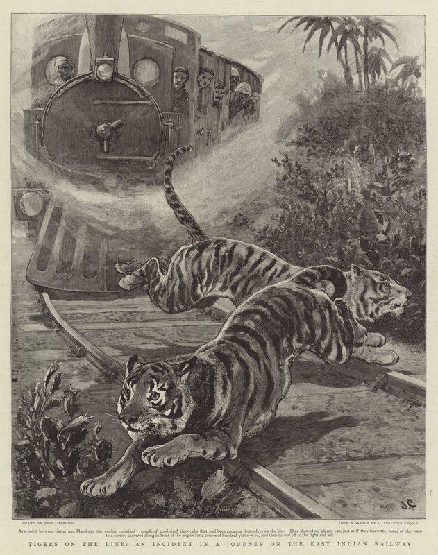 Tigers on the Line, en incident i en resa på East Indian Railway av John Charlton