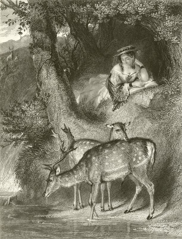Bergs ensamhet av John Corbould