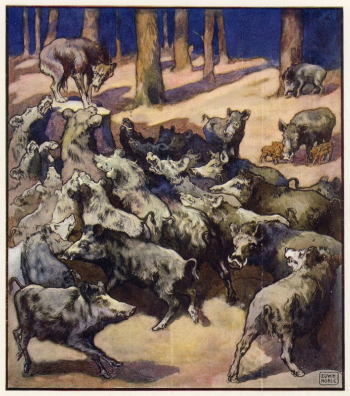 I mitten av stubben stod en stor grå varg (färg litho) av John Edwin Noble