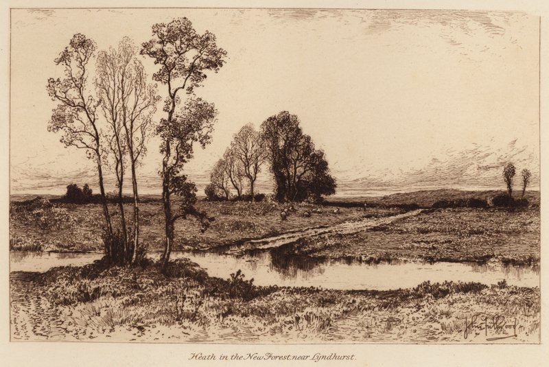 Hed i New Forest, nära Lyndhurst (gravyr) av John Fullwood