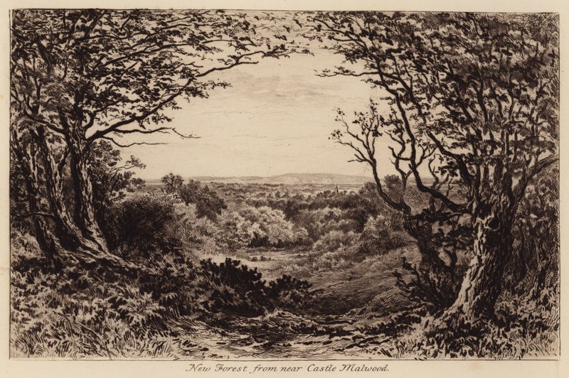 New Forest från närheten av Castle Malwood (gravyr) av John Fullwood