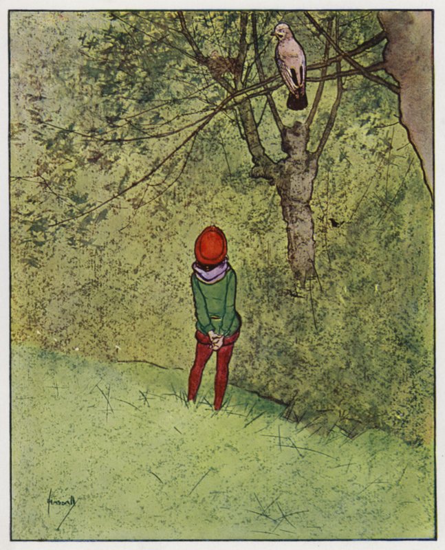 Jay (färg litho) av John Hassall