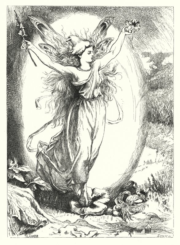 The Hidden Roses (gravyr) av John Lawson