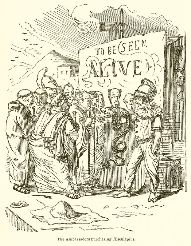 Ambassadörerna köper Aesculapius av John Leech