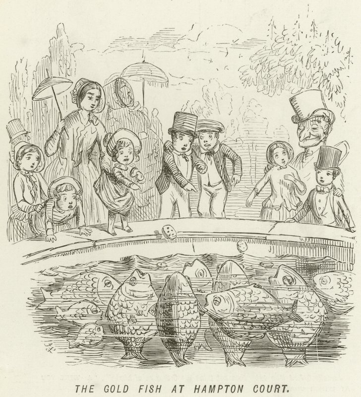 Guldfisken på Hampton Court av John Leech
