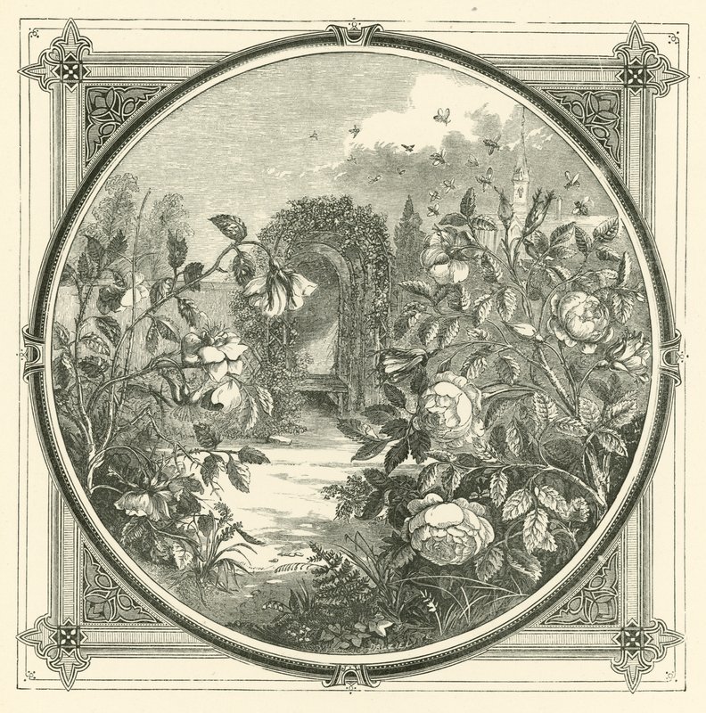 Bin rör inga blekande blommor (gravyr) av John Leighton