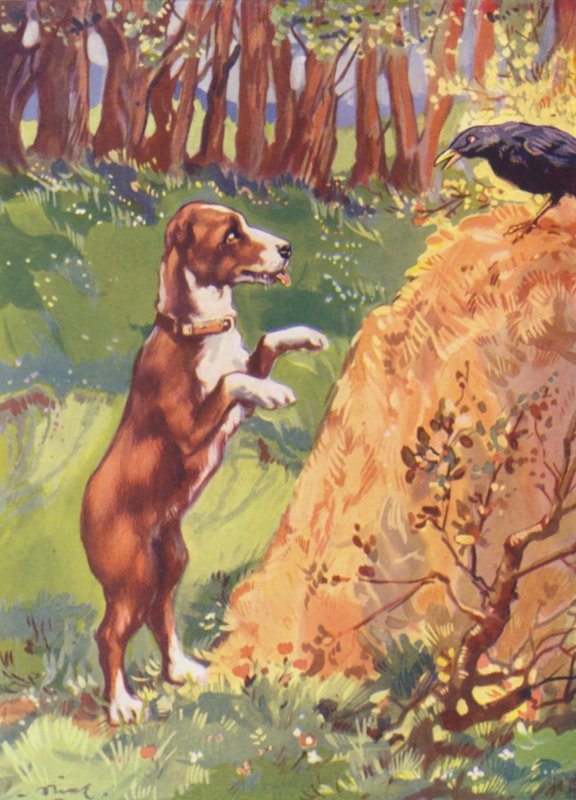Illustration till Beautiful Joe av Marshall Saunders (färglitografi) av John Nicholson