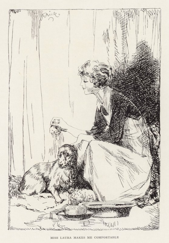 Illustration till Beautiful Joe av Marshall Saunders (litografi) av John Nicholson