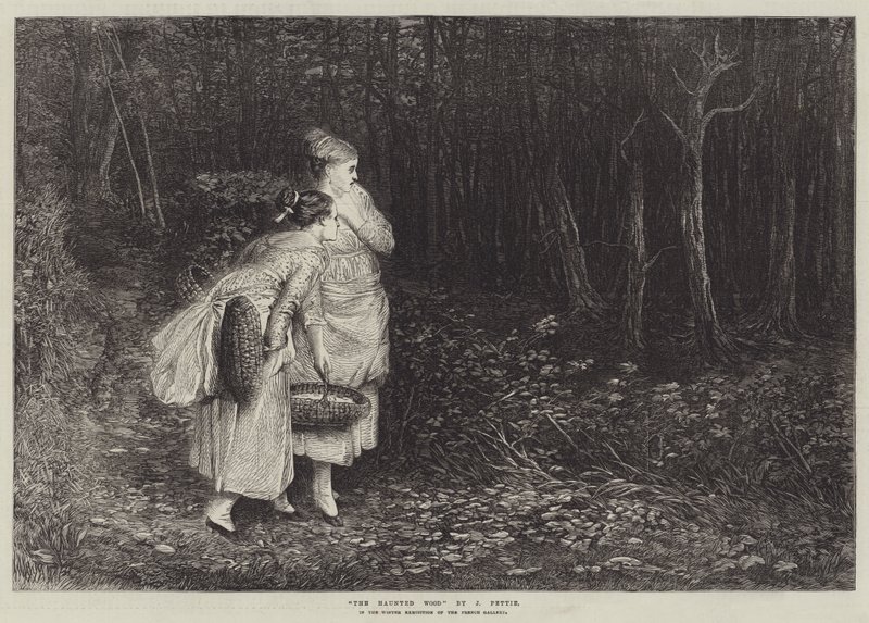 The Haunted Wood av John Pettie