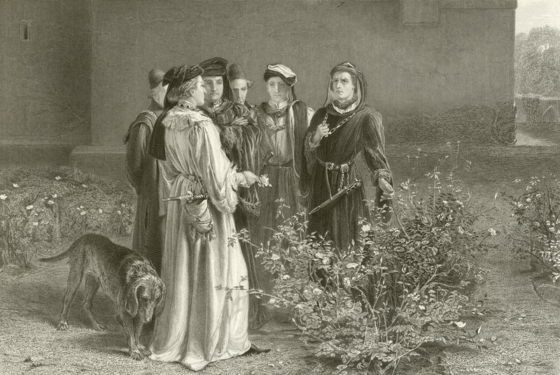 De rivaliserande rosorna av John Pettie