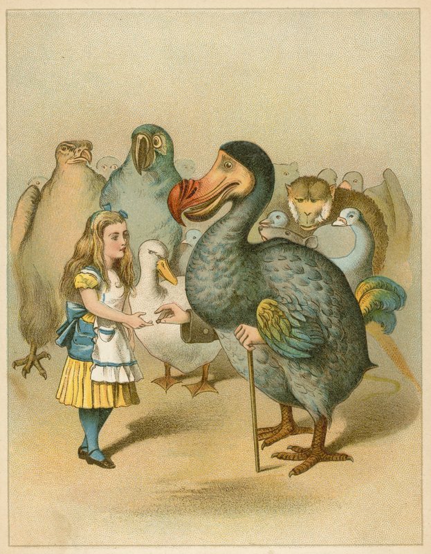 Dodo presenterade högtidligt fingerborgen från Alice