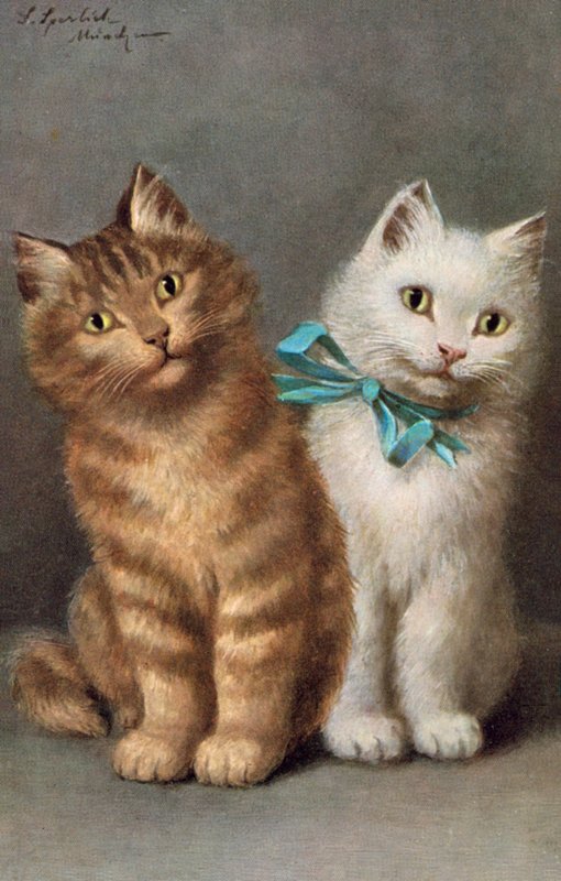 Vykort med katt (färglitografi) av Josef Sperlich