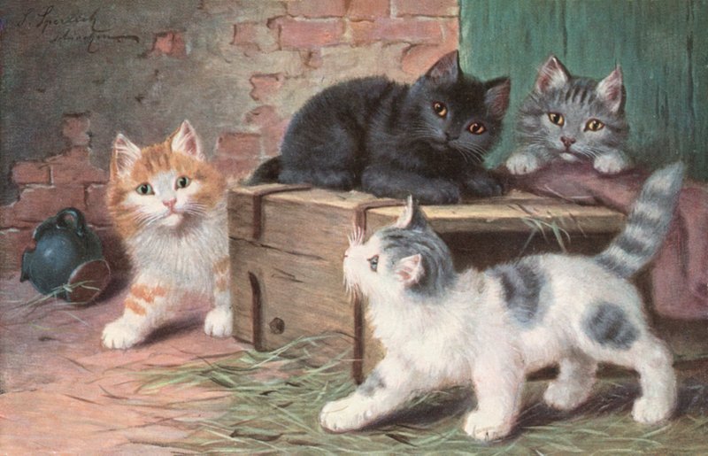 Vykort med katt (färglitografi) av Josef Sperlich