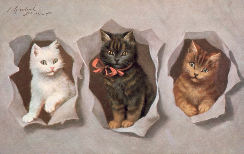 Vykort med katt (färglitografi) av Josef Sperlich