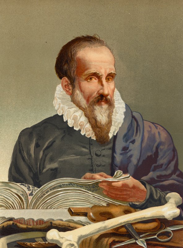 Ambrose Pareswed av Josep or Jose Planella Coromina