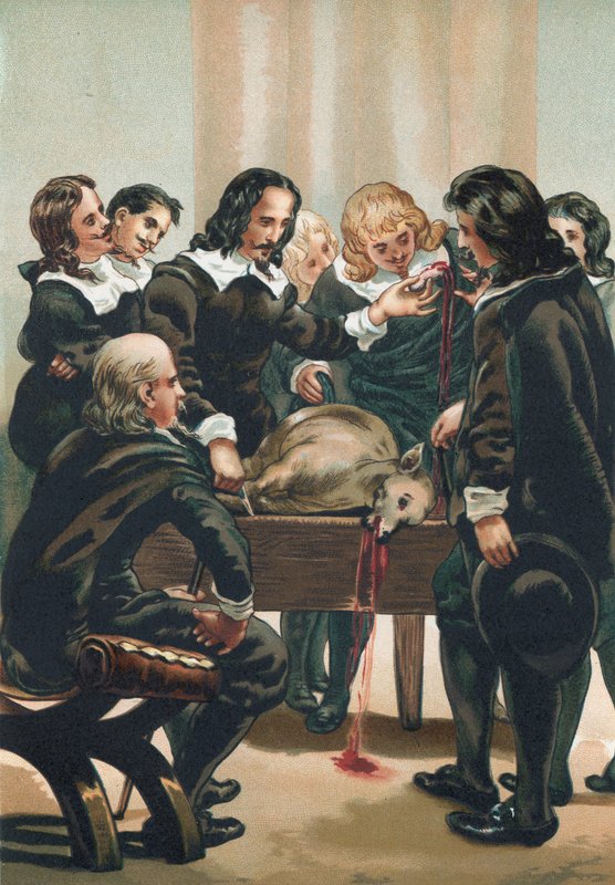 William Harvey demonstrerar blodets cirkulation av Josep or Jose Planella Coromina