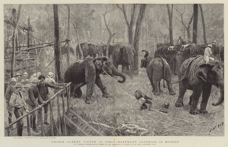 Prins Albert Victor i Indien av Joseph Nash