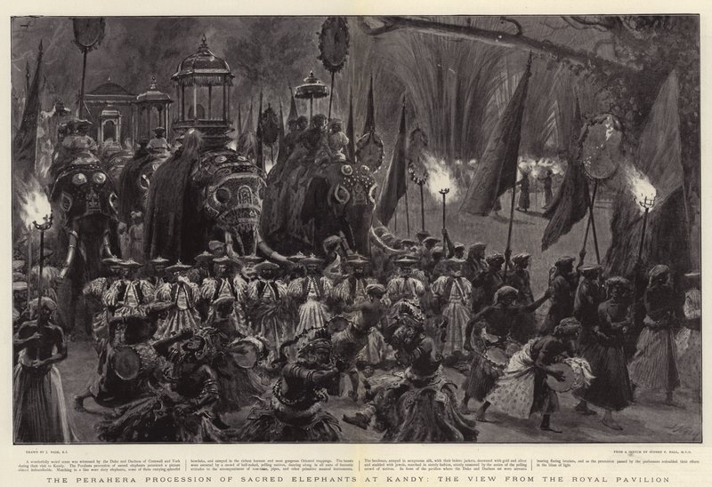 Perahera-processionen med heliga elefanter i Kandy, utsikten från den kungliga paviljongen av Joseph Nash