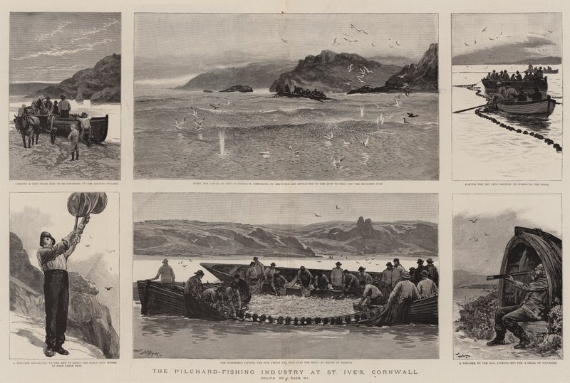 Pilchard-fiskeindustrin i St Ives, Cornwall av Joseph Nash