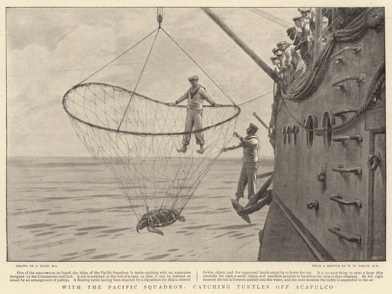 Med Pacific Squadron, fånga sköldpaddor utanför Acapulco av Joseph Nash