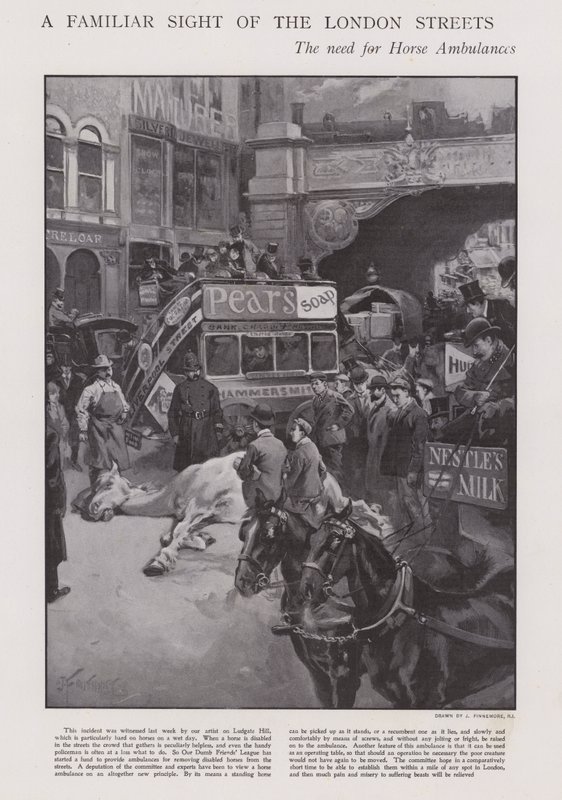 Behovet av hästambulanser på Londons gator (litho) av Joseph (after) Finnemore